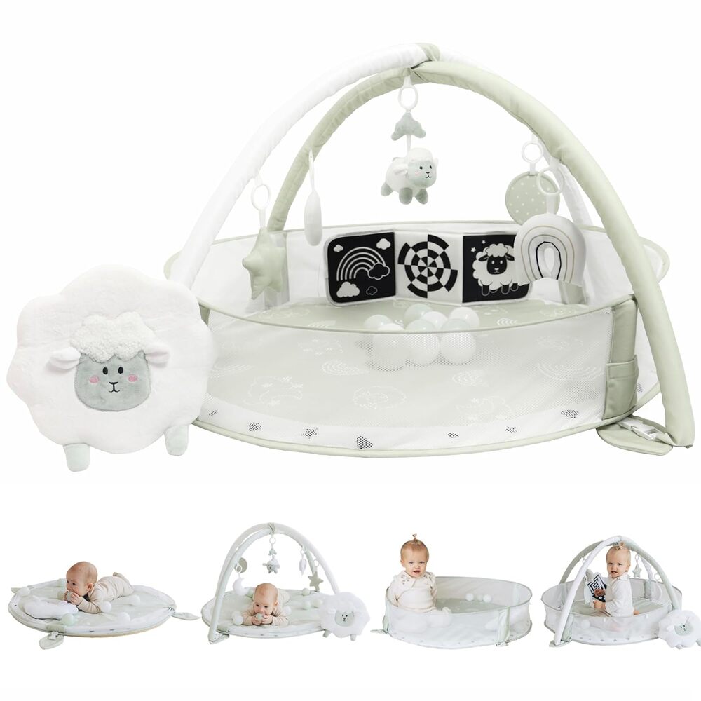 Aila & Aiden 6-in-1 Play Mat & Play Gym, Baby Gym, Baby Activity Gym NEW